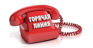 Горячая линия